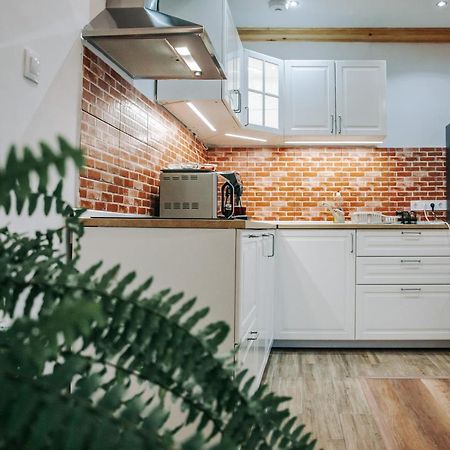 Kali Host Home Away From Home Târgu-Mureş エクステリア 写真